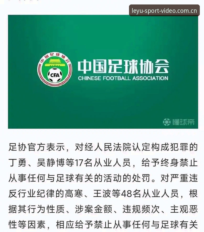 乐鱼体育全机型适配 中国足协第三批禁足名单详解:65人受罚,行业整治持续深化
